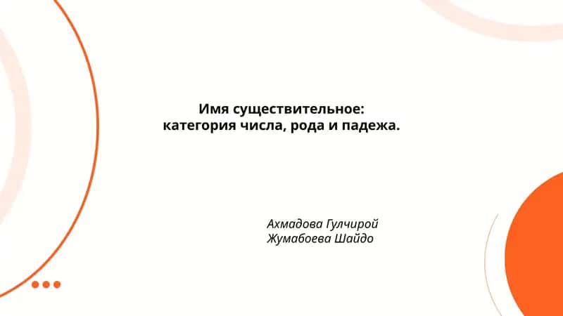 Категория числа существительного