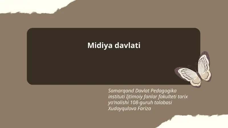Midiya davlati