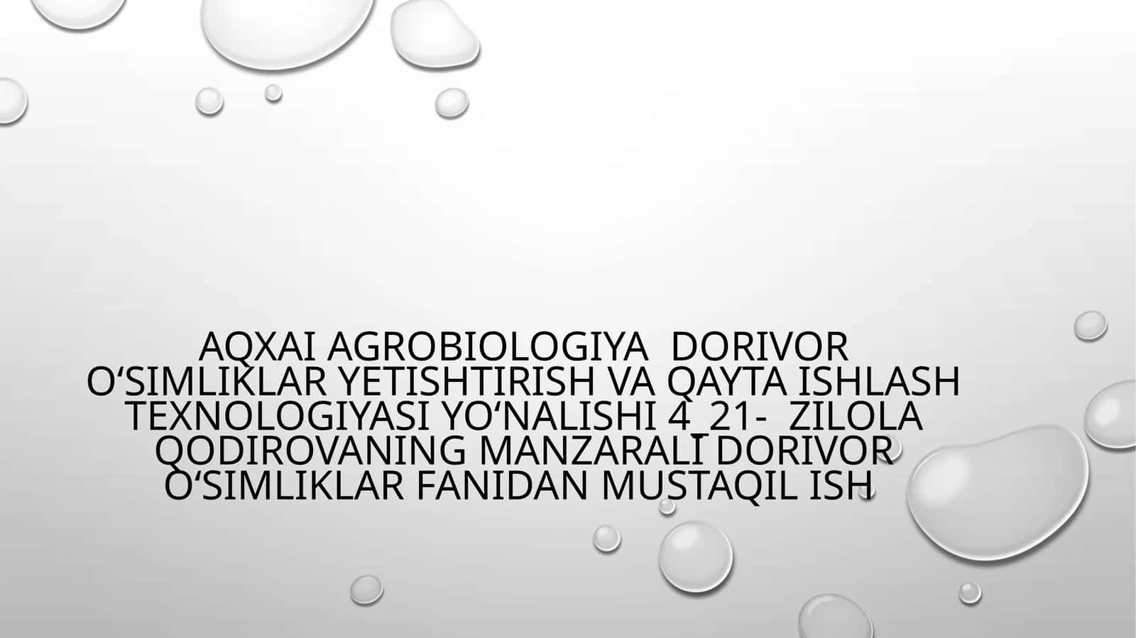 AQXAI agrobiologiya Dorivor oʻsimliklar yetishtirish va qayta ishlash texnologiyasi yoʻnalishi 4_21- zilola Qodirovaning Manzarali dorivor oʻsimliklar fanidan mustaqil ish