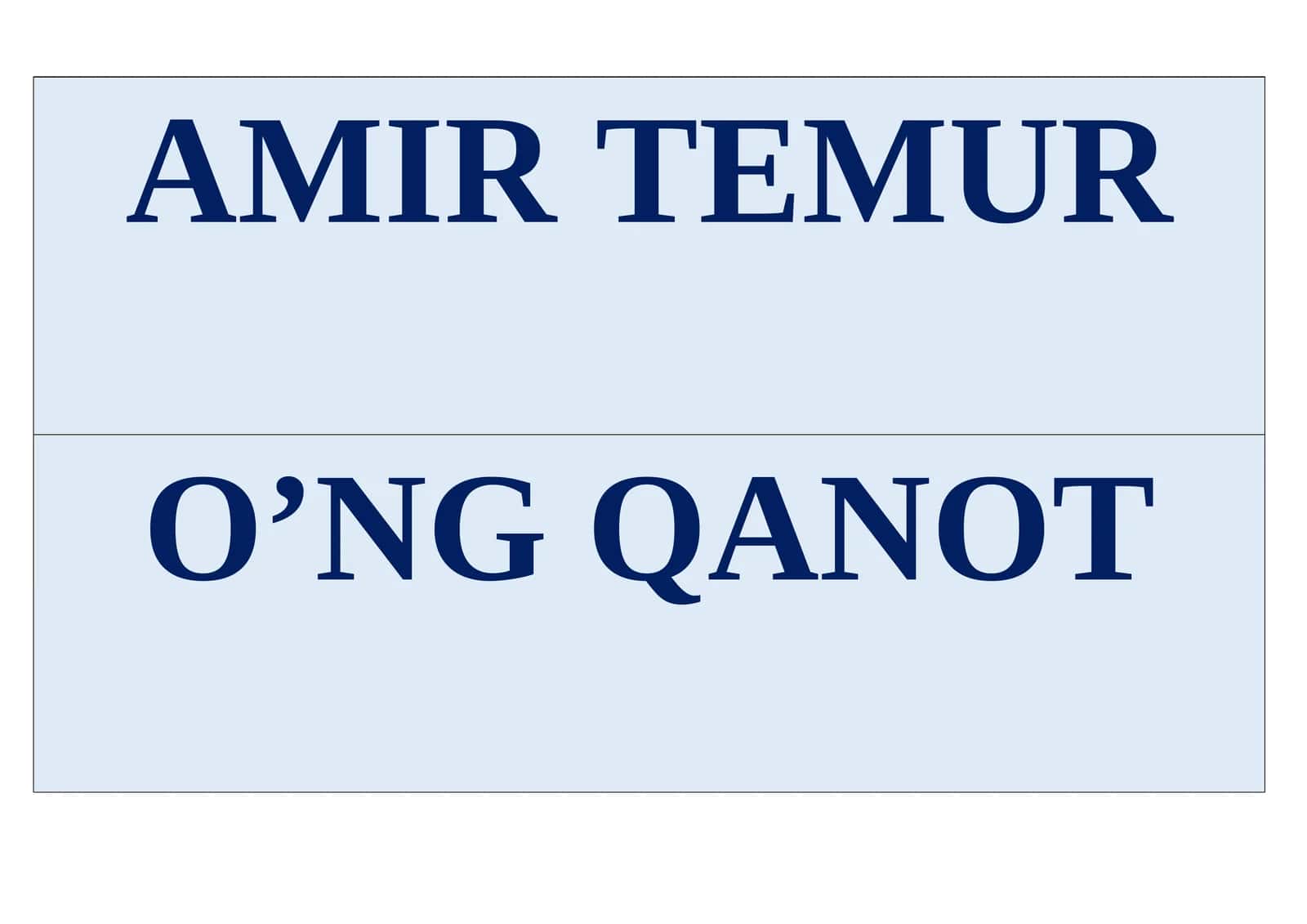AMIR TEMUR