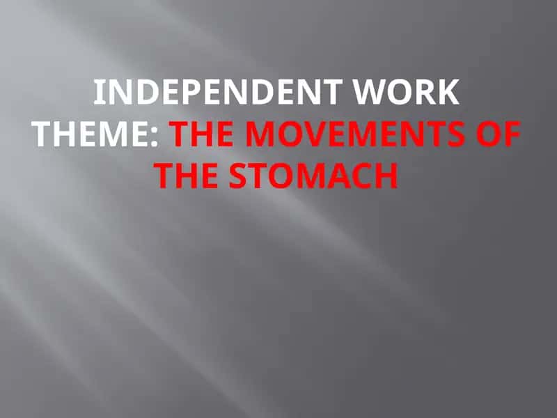 The Movements of the Stomach