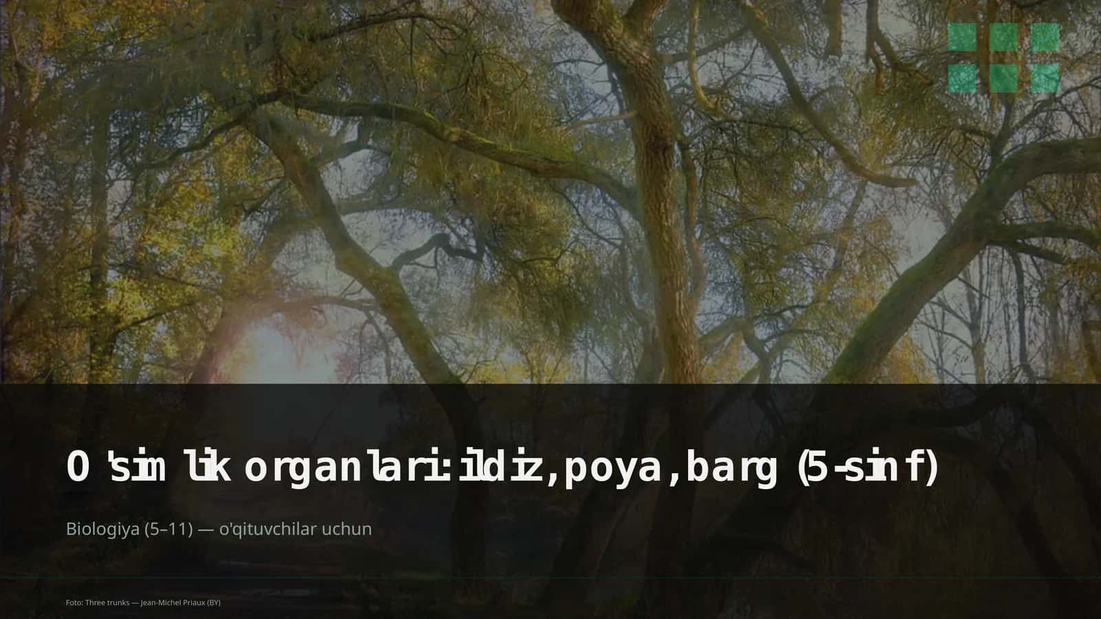 Biologiya (5–11) o'qituvchilar uchun