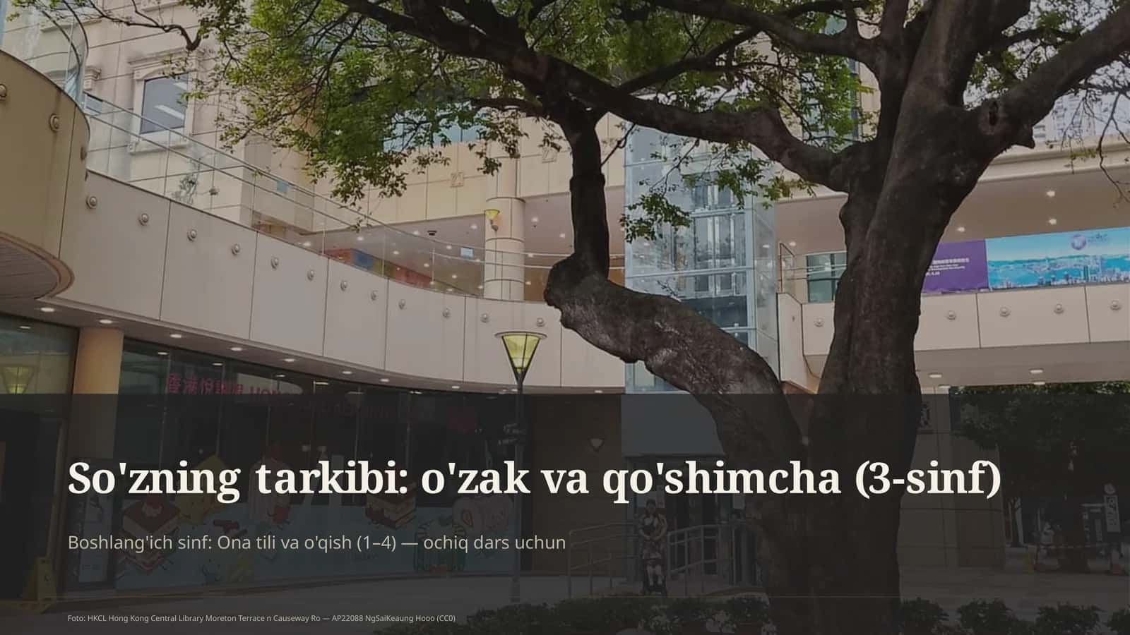 So'zning tarkibi: o'zak va qo'shimcha (3-sinf)