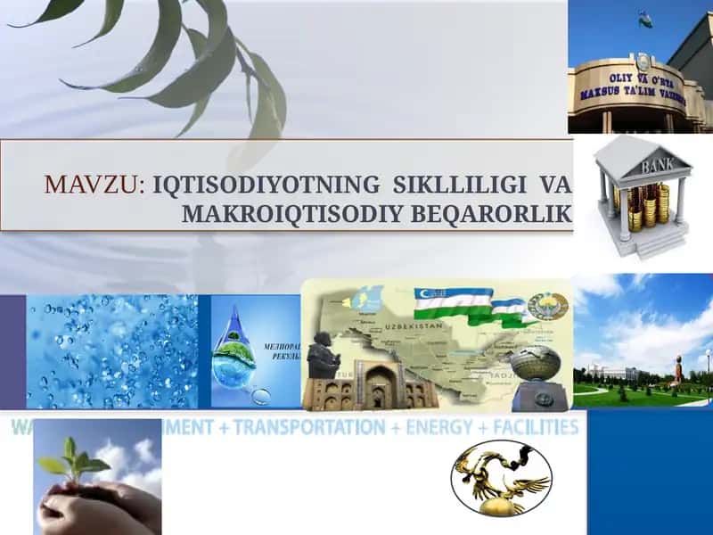 IqtisodiYotning  siklliligi  va makroiqtisodiy beqarorlik