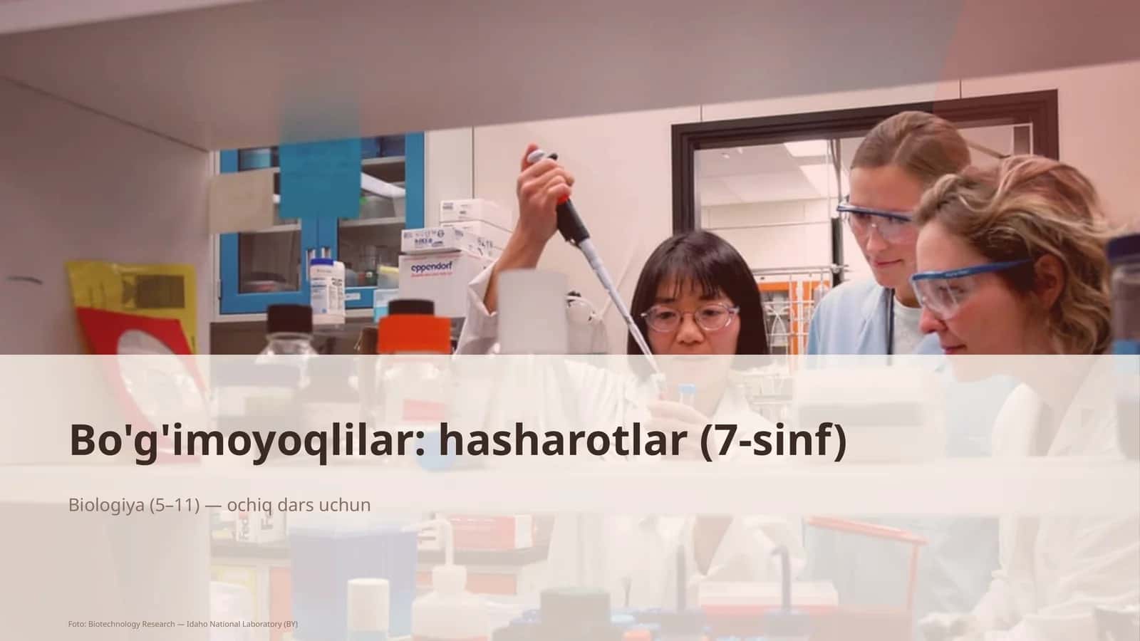 Bo'g'imoyoqlilar: Hasharotlar (7-sinf)