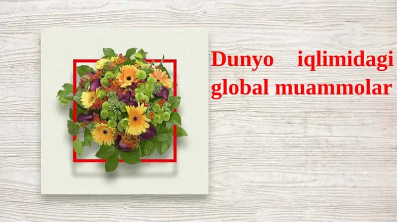 Dunyo iqlimidagi global muammolar
