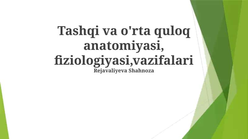 Tashqi va o'rta quloq anatomiyasi