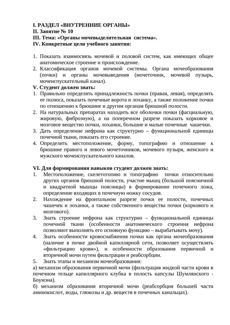 Органы мочевыделительная система