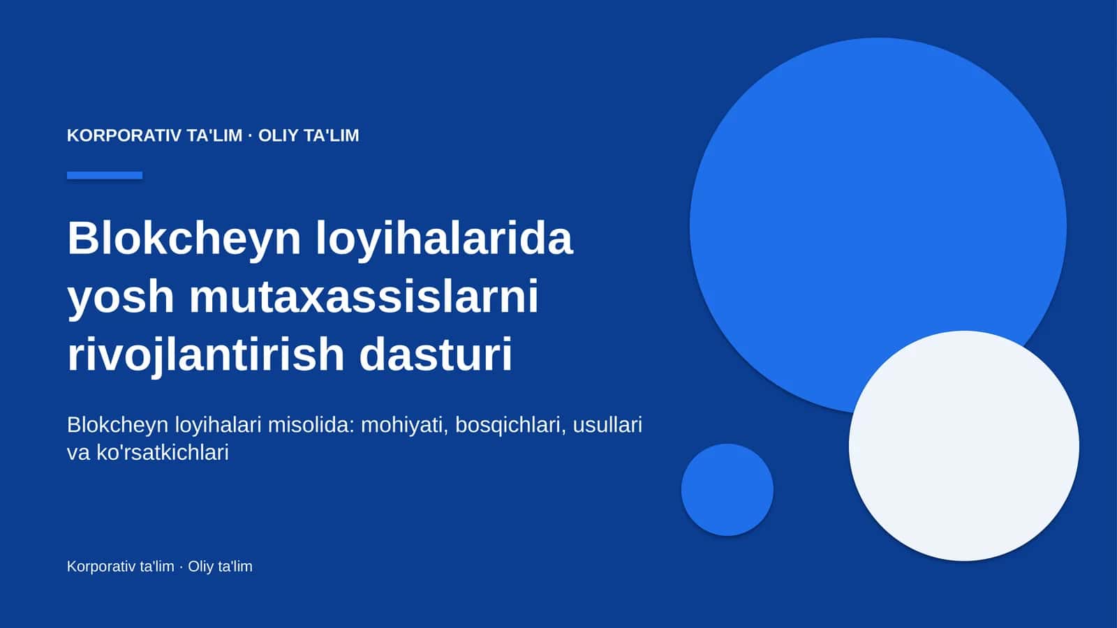 Blokcheyn loyihalarida yosh mutaxassislarni rivojlantirish dasturi