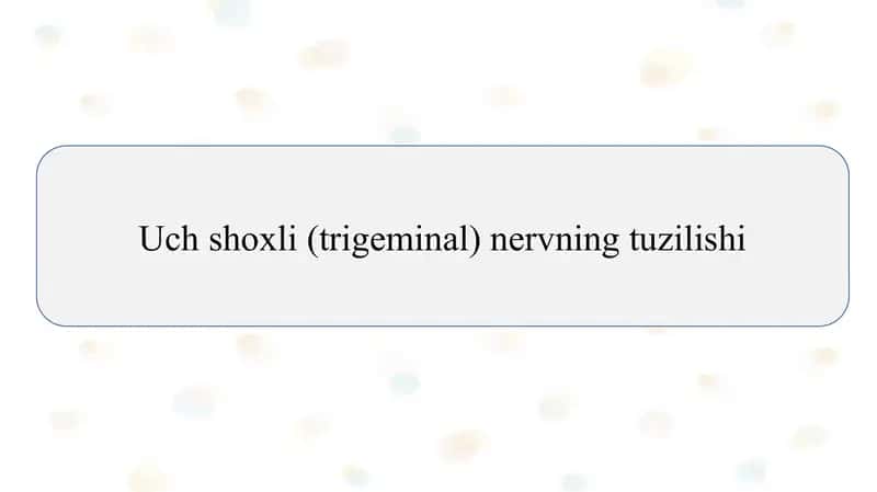 Uch shoxli (trigeminal) nervning tuzilishi          Uch shoxli (trigeminal) nervning tuzilishi