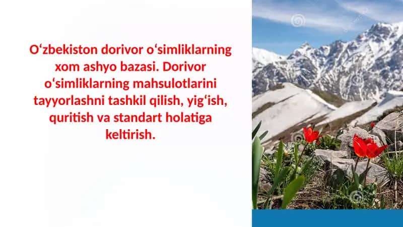 Dorivor o'simliklarning mahsulotlarini tayyorlash