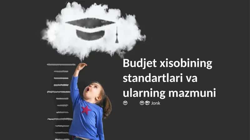 Budjet xisobining standartlari va ularning mazmuni