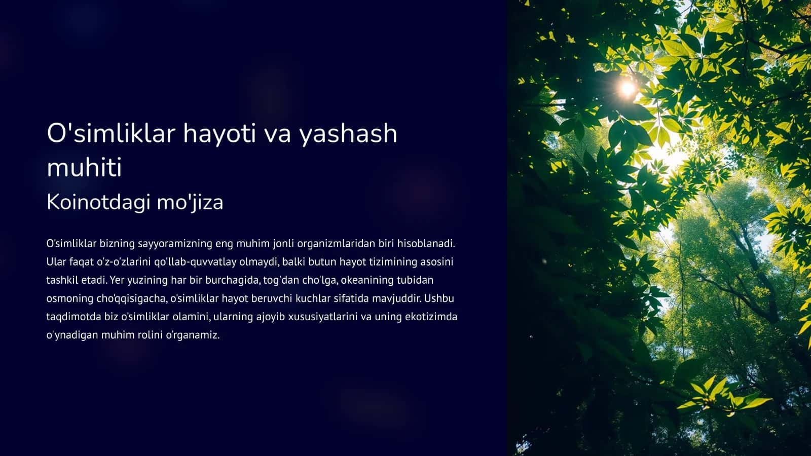 O'simliklar hayoti va yashash muhiti