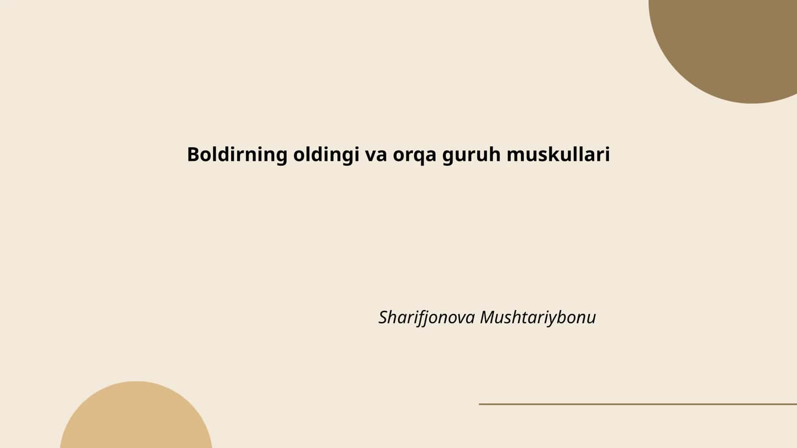Boldirning oldingi va orqa guruh muskullari