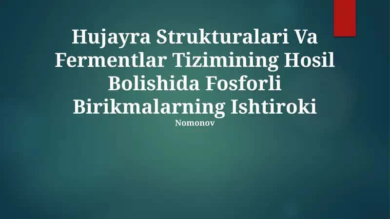 Hujayra Strukturalari Va Fermentlar Tizimi