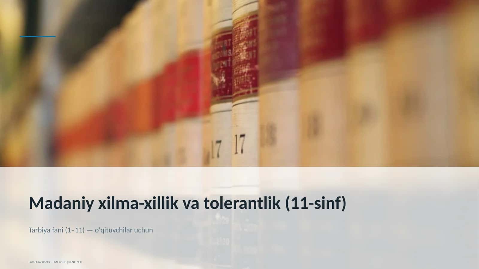 Madaniy xilma-xillik va tolerantlik (11-sinf)