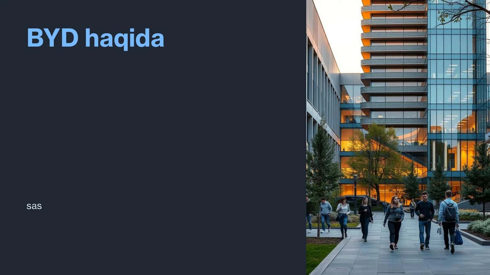 BYD haqida