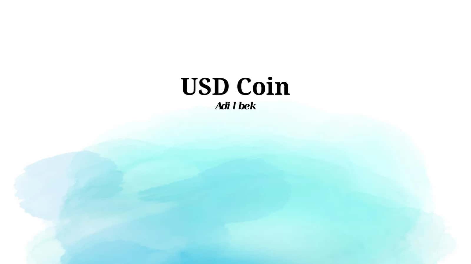 USD Coin
