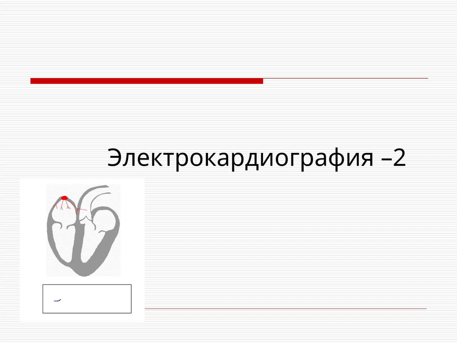 Электрокардиография –2