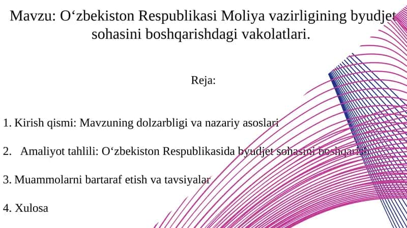 O‘zbekiston Respublikasi Moliyavazirligining byudjet sohasini boshqarish dagi vakolatlari
