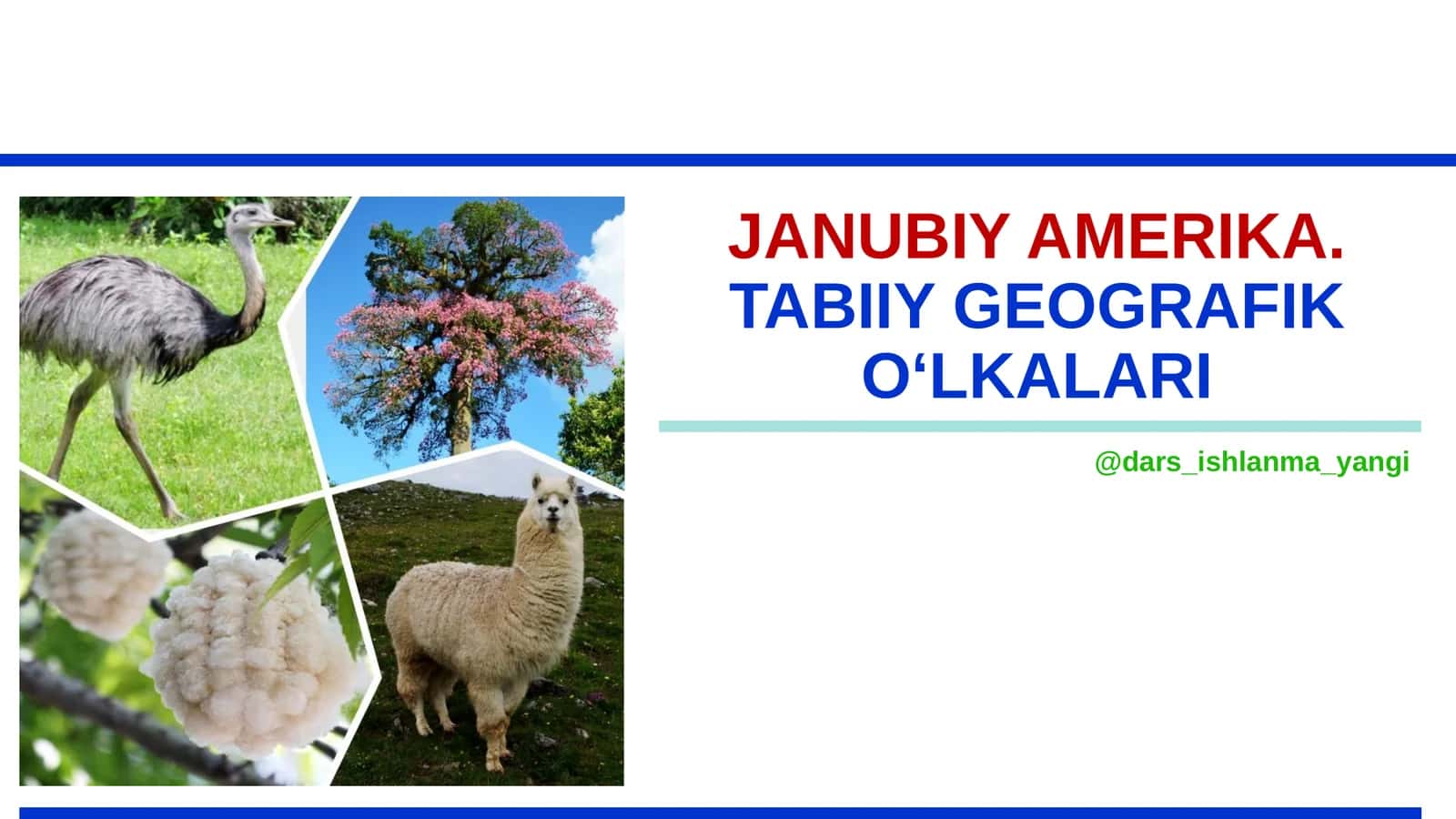 JANUBIY AMERIKA.TABIIY GEOGRAFIK O‘LKALARI