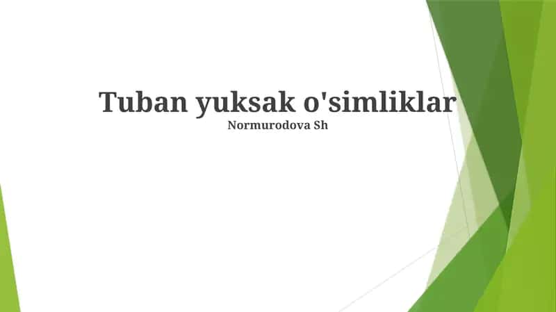 Tuban yuksak o'simliklar