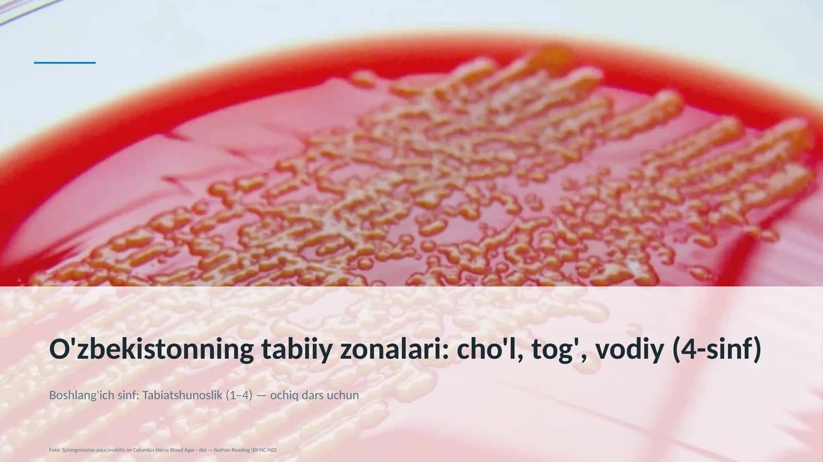O'zbekistonning tabiiy zonalari: cho'l, tog', vodiy (4-sinf)