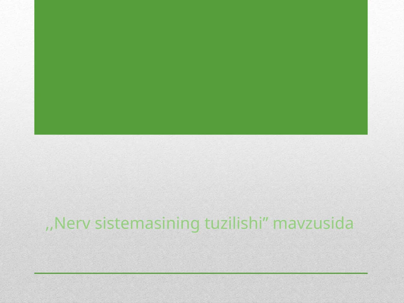 Nerv sistemasi