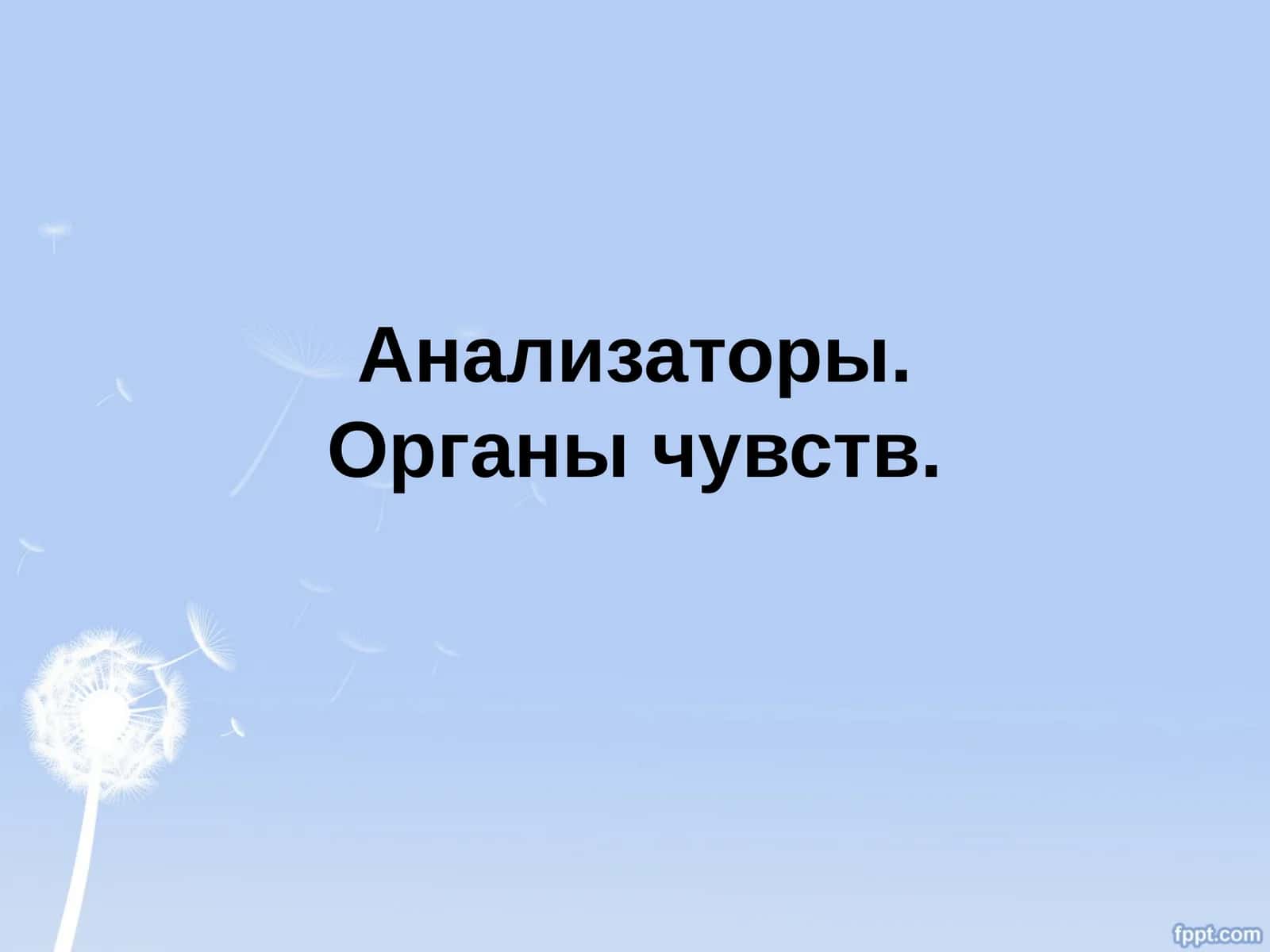 Анализаторы.Органы чувств
