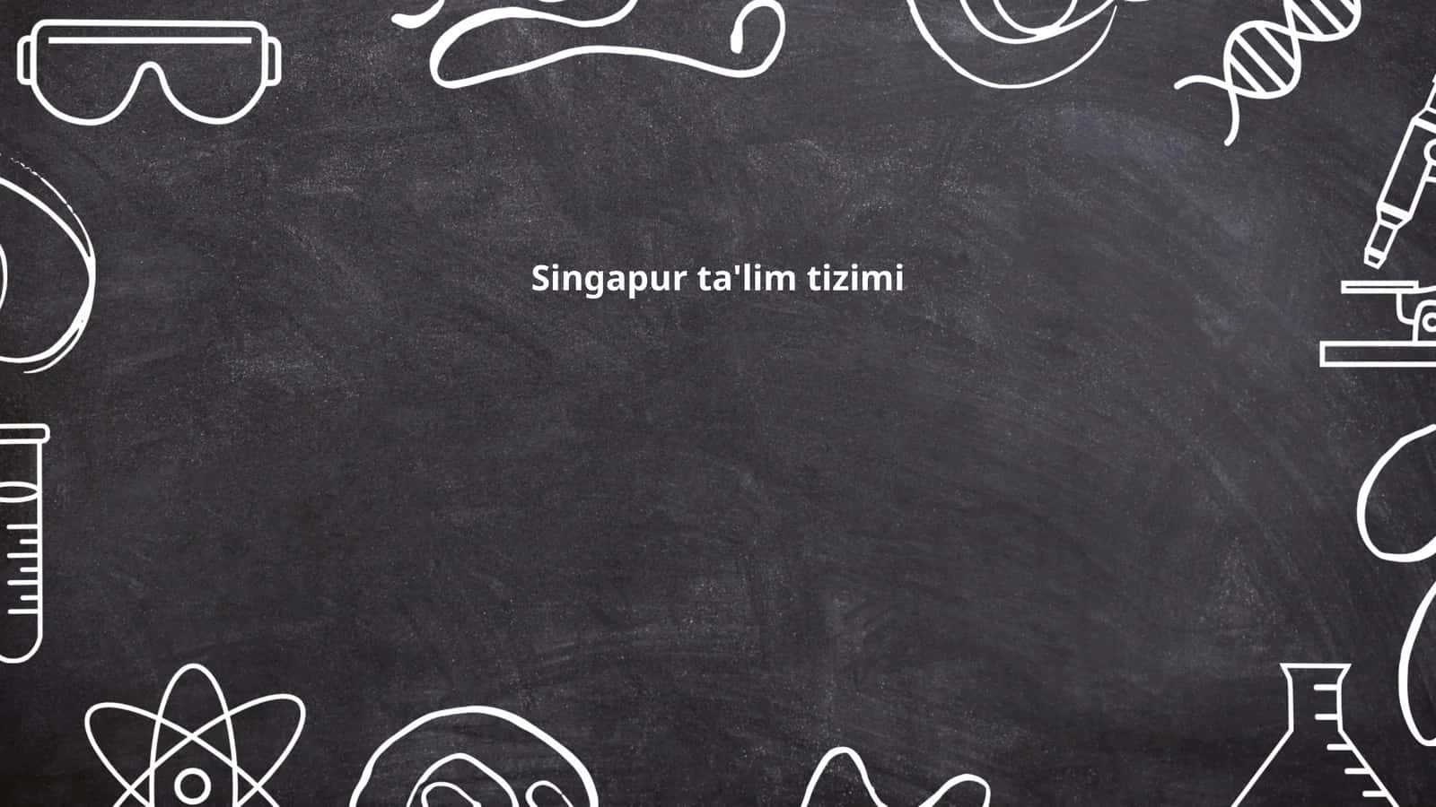 Singapur ta'lim tizimi