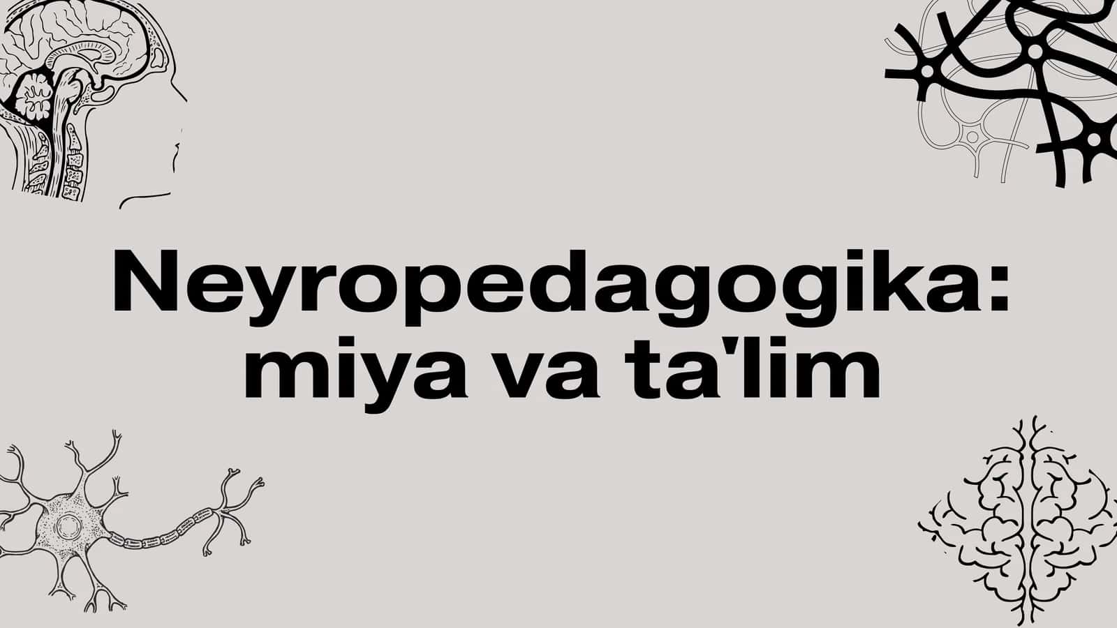 Neyropedagogika: miya va ta'lim