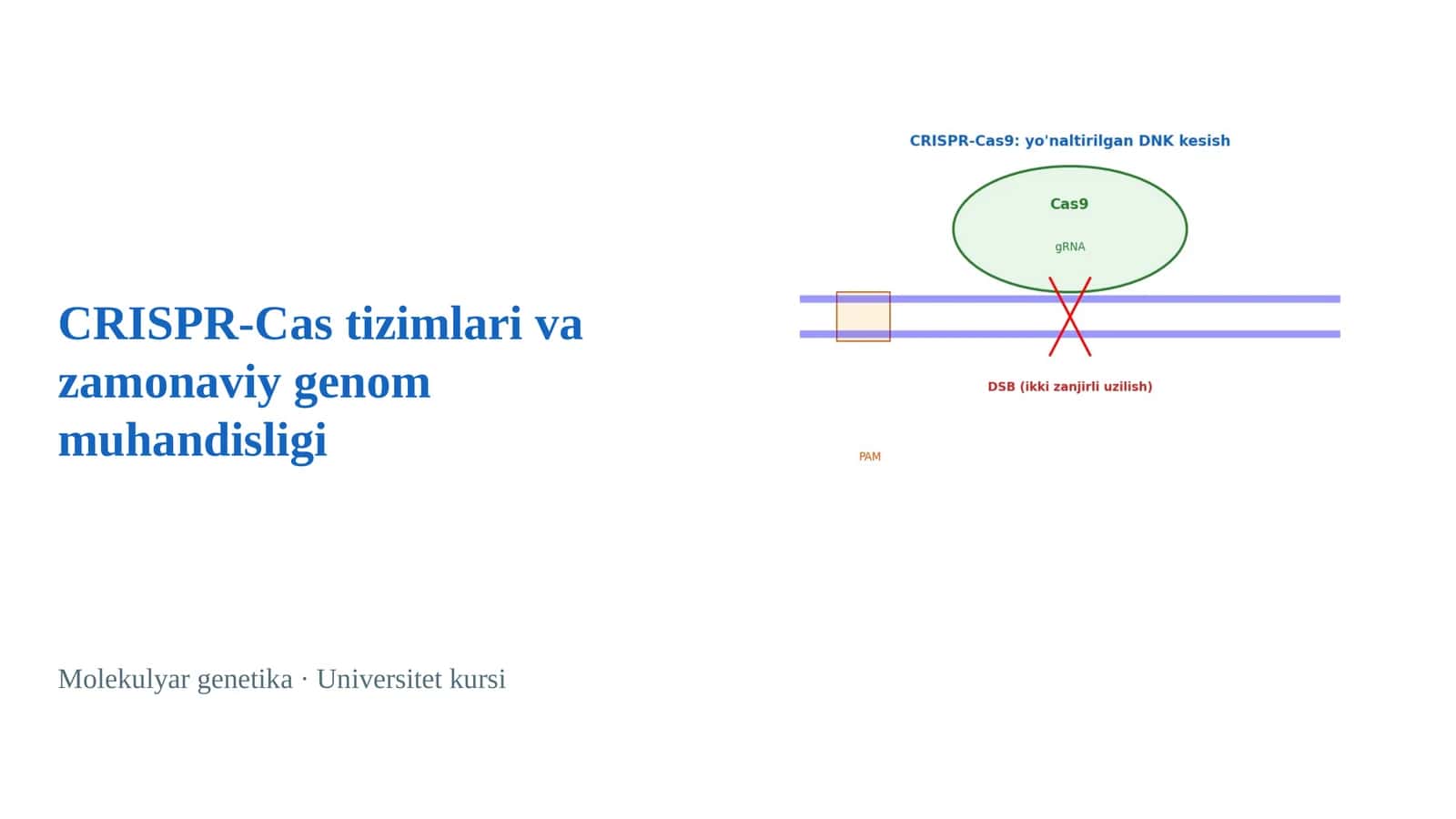 CRISPR-Cas tizimlari va zamonaviy genom muhandisligi