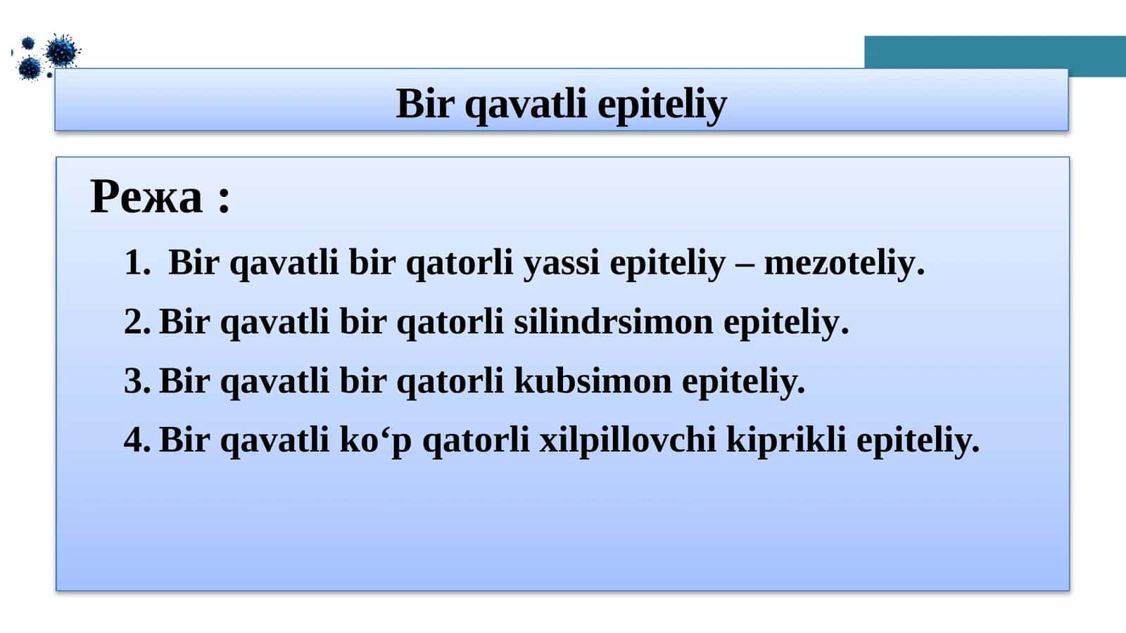 Bir qavatli epiteliy