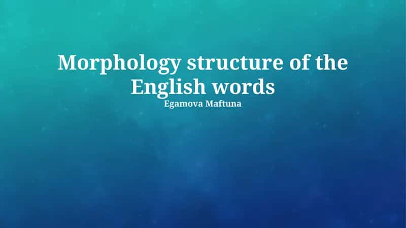 Morphology structure of the English words