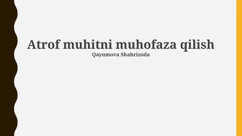 Atrof muhitni muhofaza qilish