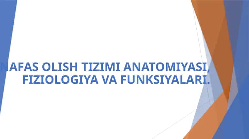 NAFAS OLISH TIZIMI ANATOMIYASI, FIZIOLOGIYA VA FUNKSIYALARI