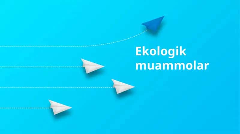Ekologik muammolar