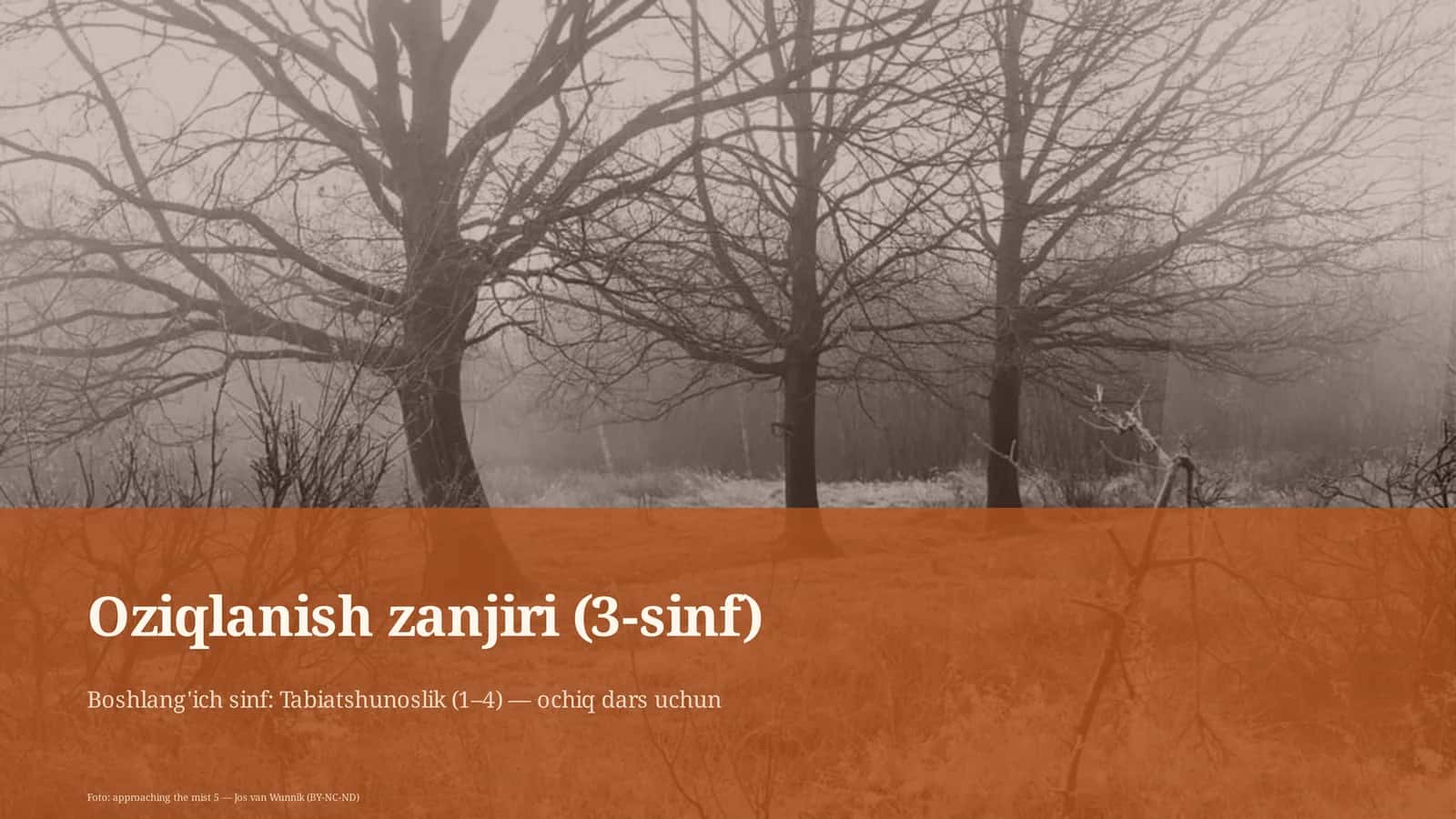 Oziqlanish zanjiri (3-sinf)