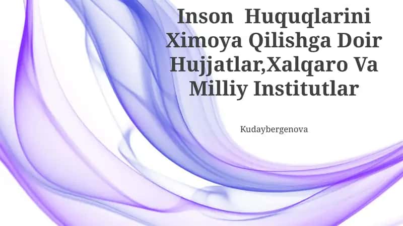 Inson Huquqlarini Ximoya Qilishga Doir Hujjatlar, Xalqaro Va Milliy Institutlar