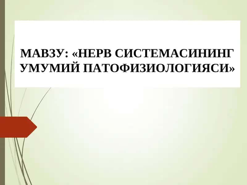 НЕРВ СИСТЕМАСИНИНГ УМУМИЙ ПАТОФИЗИОЛОГИЯСИ