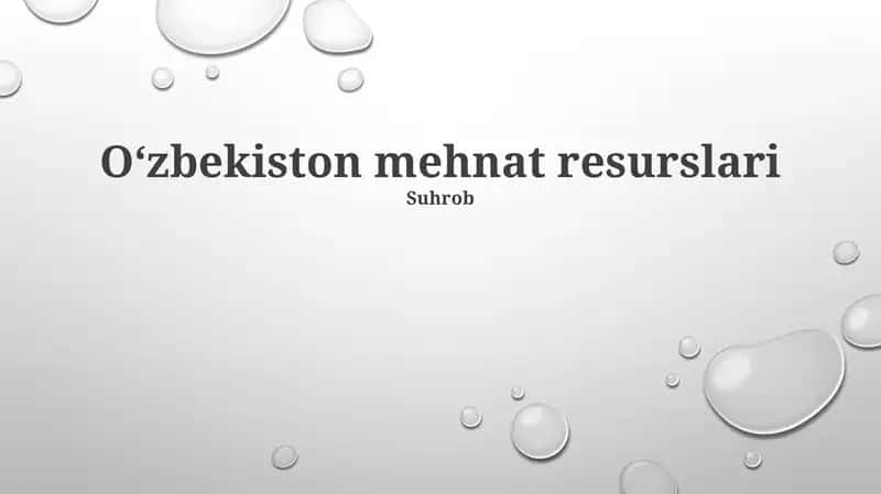 Oʻzbekiston mehnat resurslari