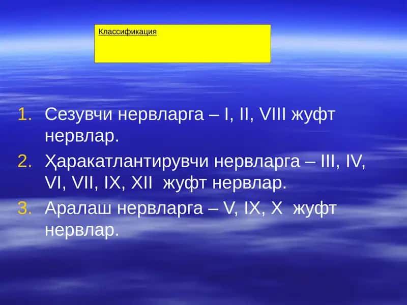 Нервлар классификацияси