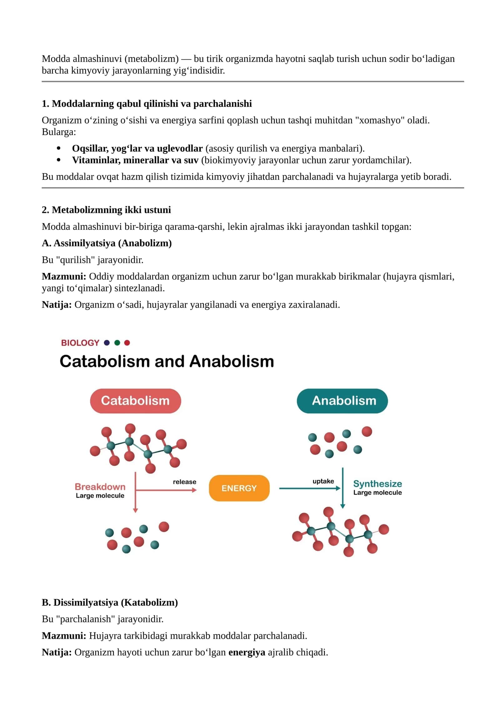 Modda almashinuvi (metabolizm)