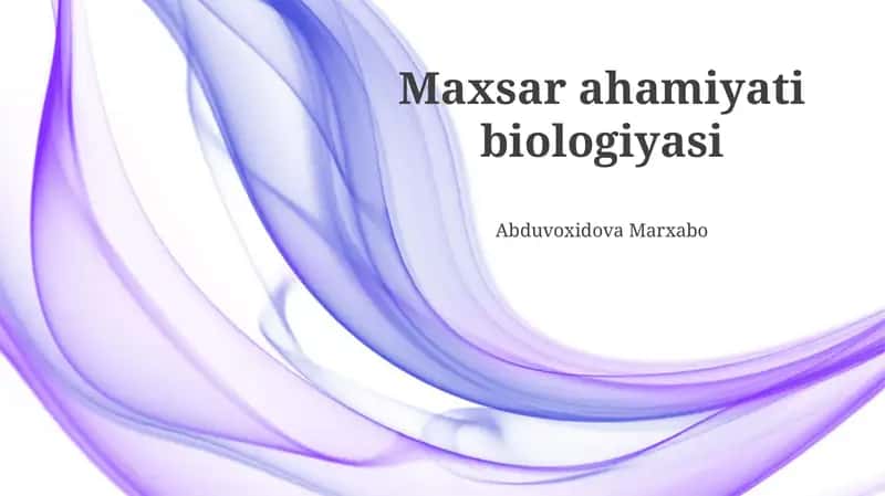 Maxsar RNS Sintezi va Oqsil Hosil Bo'lishi