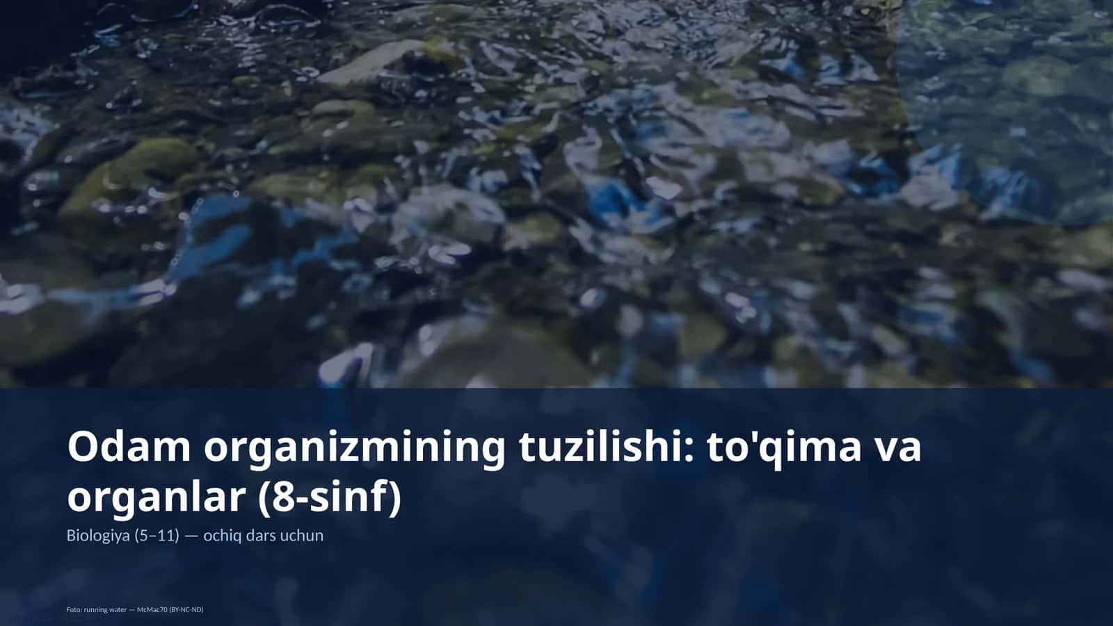 Odam organizmining tuzilishi: to'qima va organlar (8-sinf)