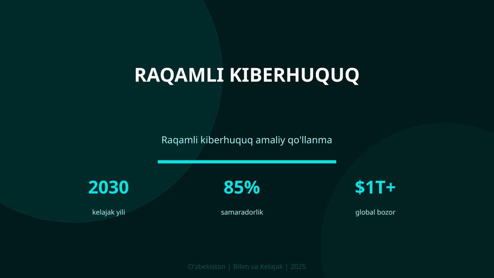 Raqamli kiberhuquq