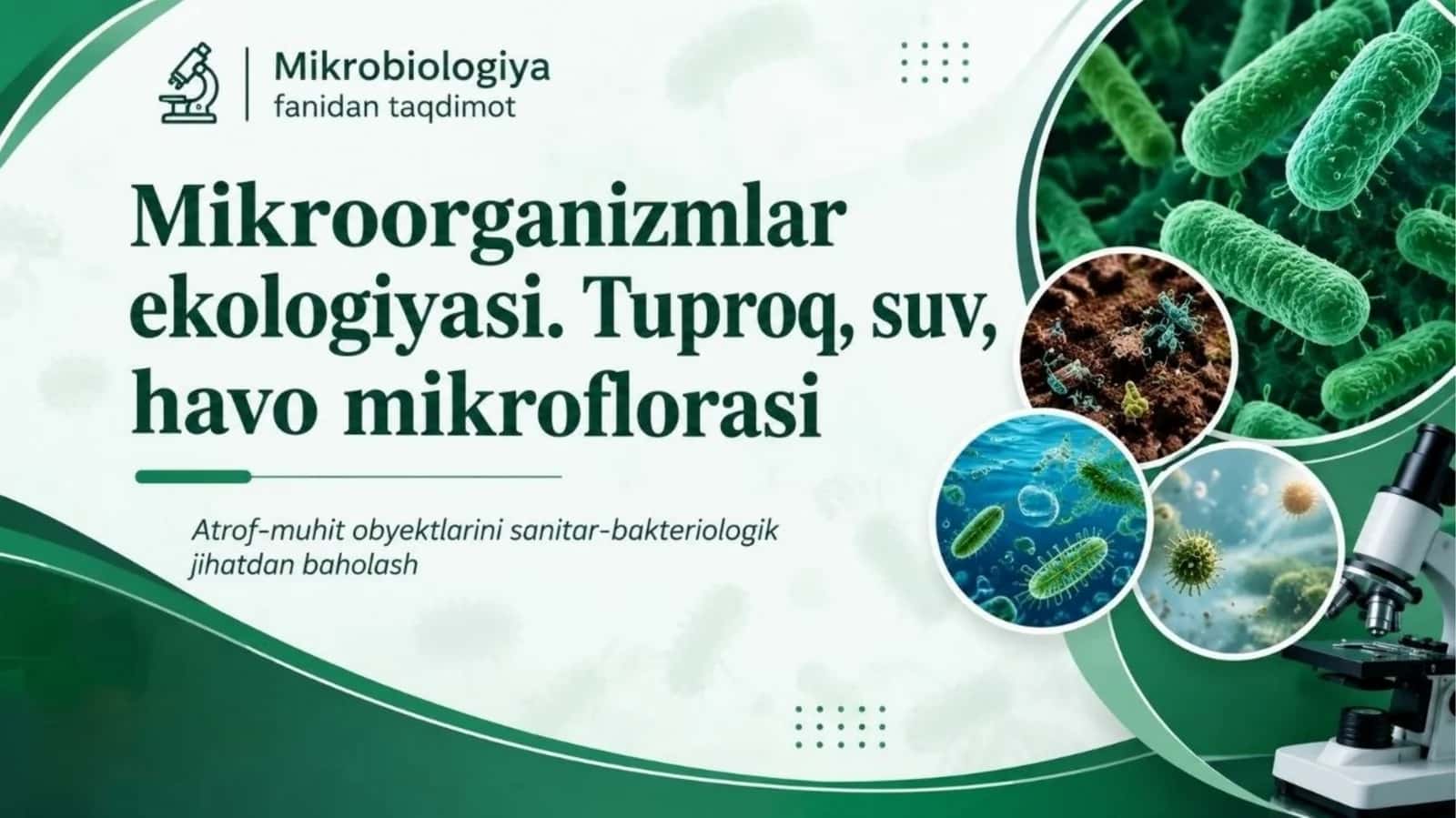 Mikroorganizmlar ekologiyasi