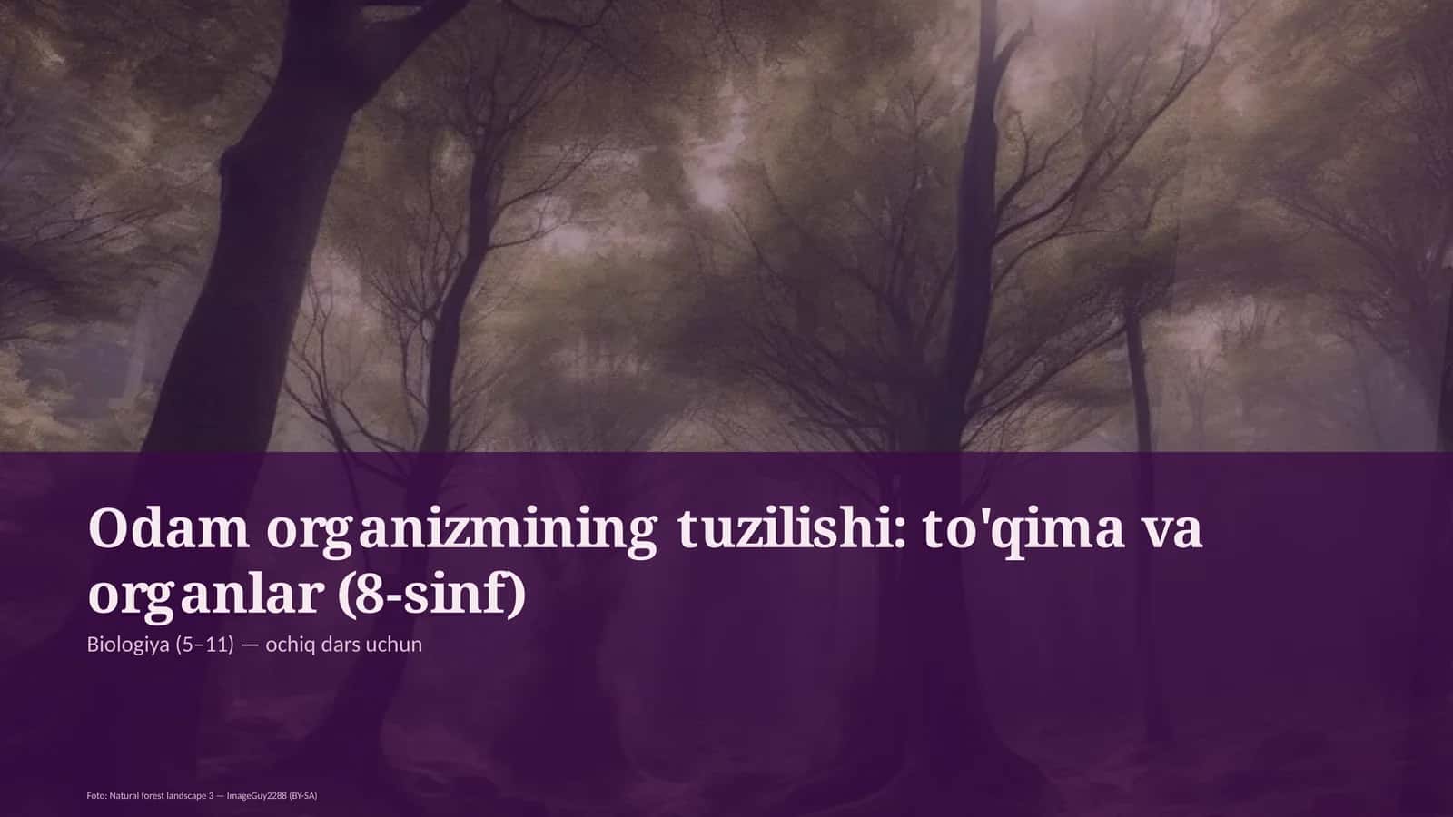 Odam organizmining tuzilishi: to'qima va organlar (8-sinf)