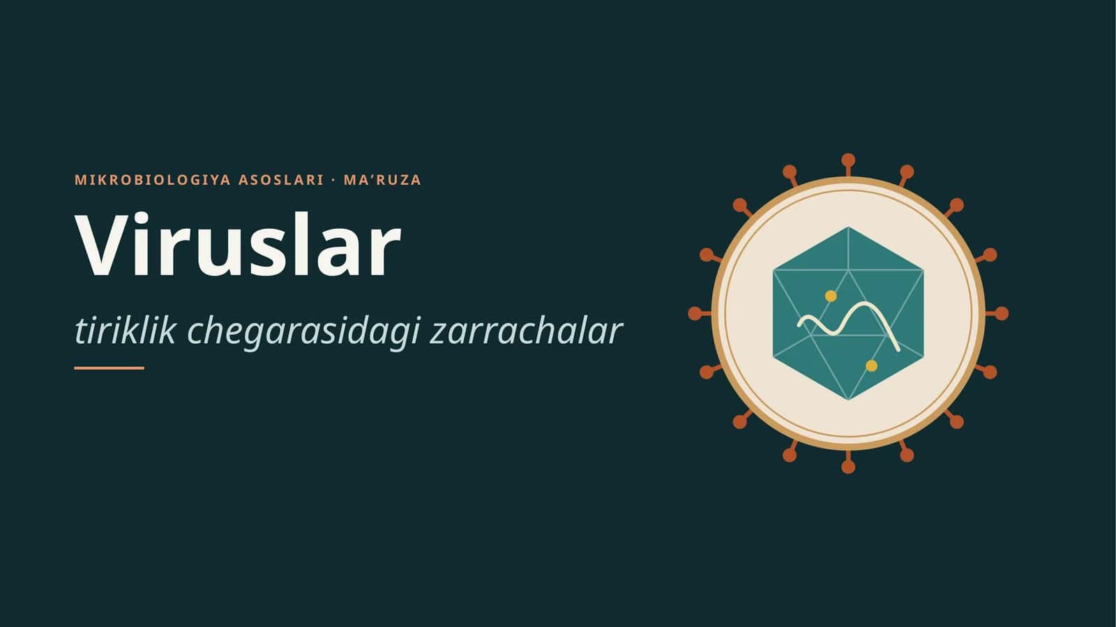 Viruslar