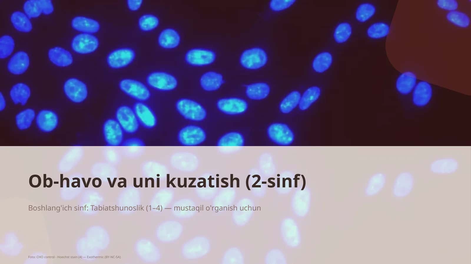 Ob-havo va uni kuzatish (2-sinf)
